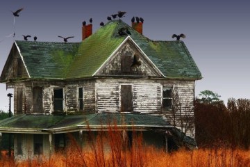 an abandoned house surrounded by crows